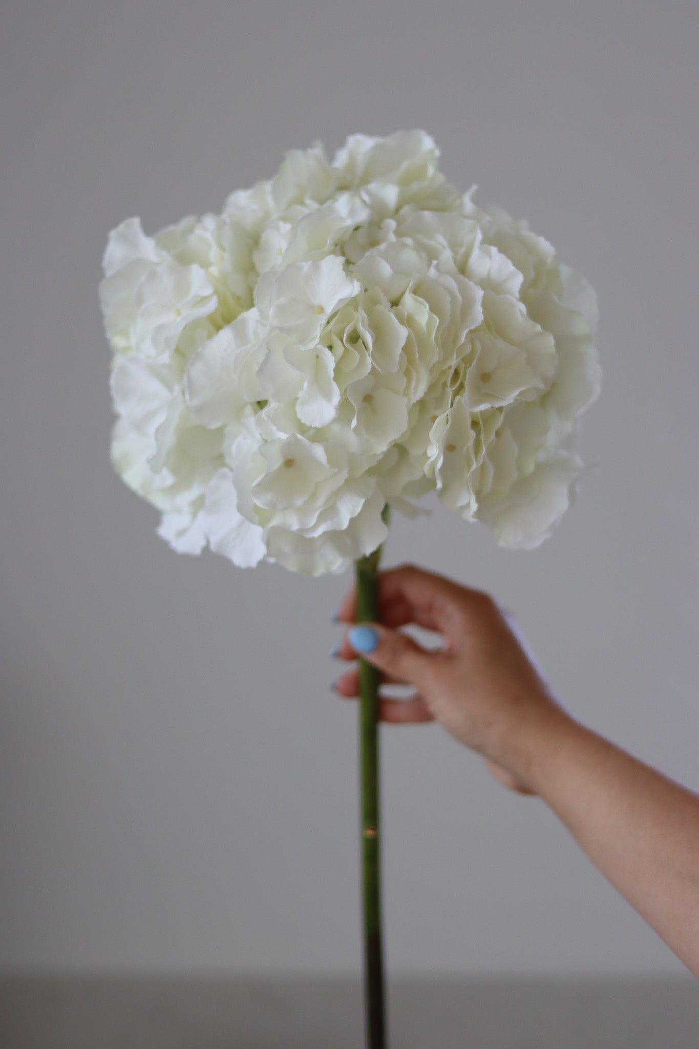 So reinigen Sie künstliche Blumen und sorgen dafür, dass sie wie neu a – Pretty Little Home