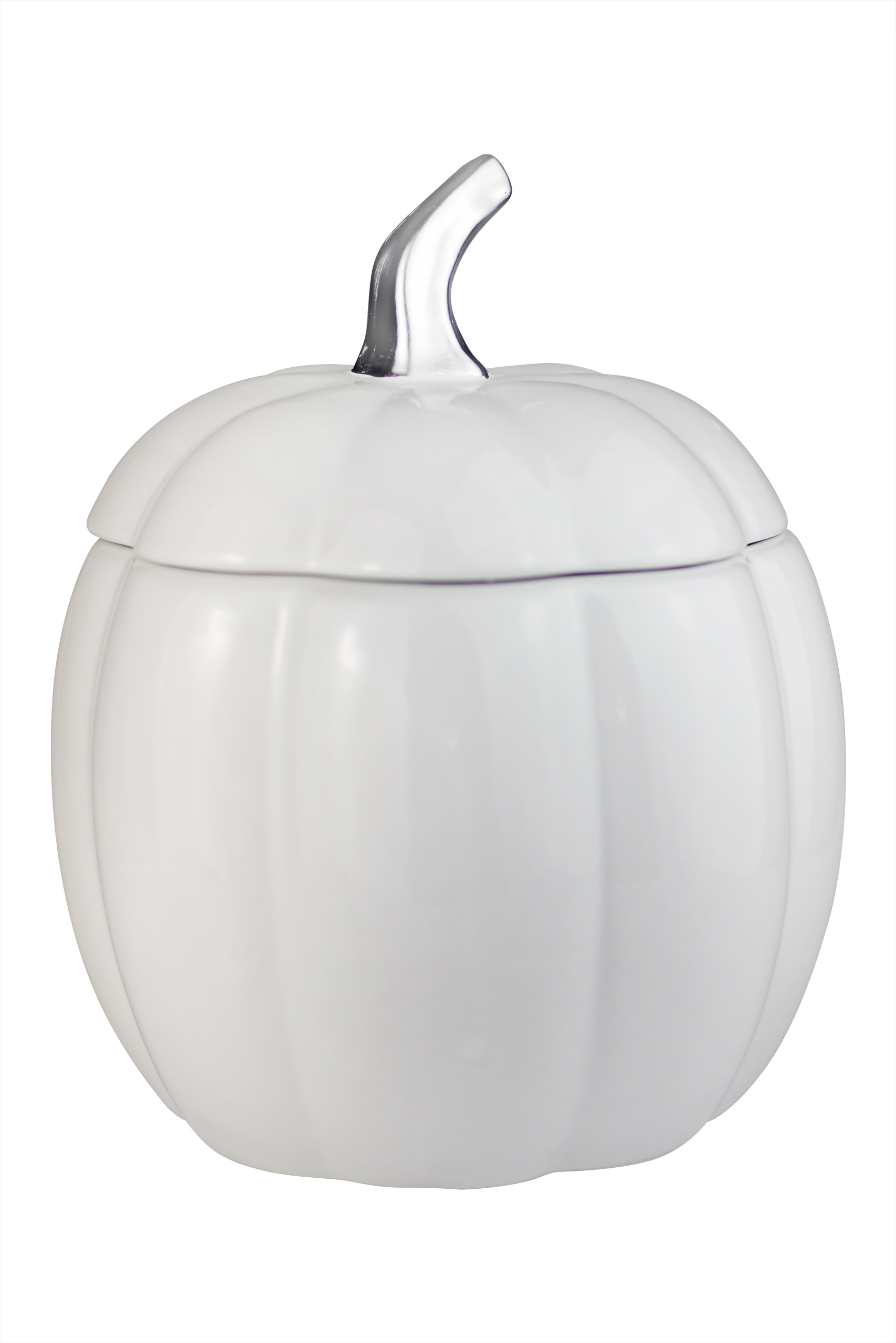 White Ceramic Pumpkin Jar - Large | Pretty Little Home