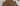 Set of 2 seagrass placemats