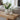 A set of two ceramic vases styled with faux flowers on a wooden console unit
