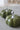 Ceramic Pumpkin Autumnal Green - Medium 2PC