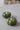 Ceramic Pumpkin Autumnal Green - Small 2PC