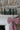 Brush Trees - Pack 10