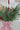 Faux Red Berry, Bow & Vase Bundle