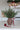 Faux Berry, Vase & Ribbon Bundle