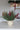 Faux Red Berry & Vase Bundle