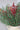 Faux Red Berry & Vase Bundle
