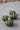 Ceramic Pumpkin Autumnal Green - Tiny 4PC