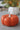 Ceramic Pumpkin Autumnal Orange - Large