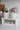 Pumpkin Mug Display Bundle