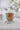 Double Wall Single Heart/Black Glass Mug