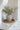 Terracotta Faux Flower Arrangement Bundle