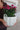 Stoneware Plant Pot