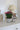 Aged Plant Pots | Set of 2