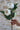 Faux Flowers - Peony Spray - Cream