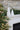 Set of 2 Ceramic Trees – Snowy Tree