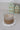 Vertical Lines Black Glass Mug