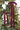 Bordeaux Velvet Ribbon - 3m Roll