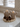 Terracotta Ghost Board Bundle