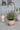 Terracotta Copenhagen Plant Pot - Medium