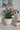 Terracotta Copenhagen Plant Pot - Standard